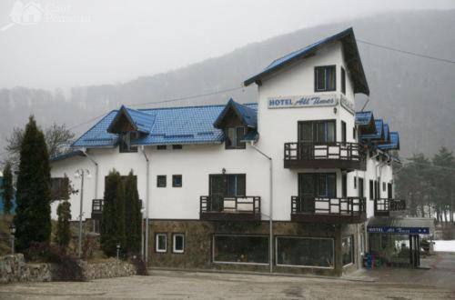 Hotel All Times Тімішу-де-Жос Екстер'єр фото
